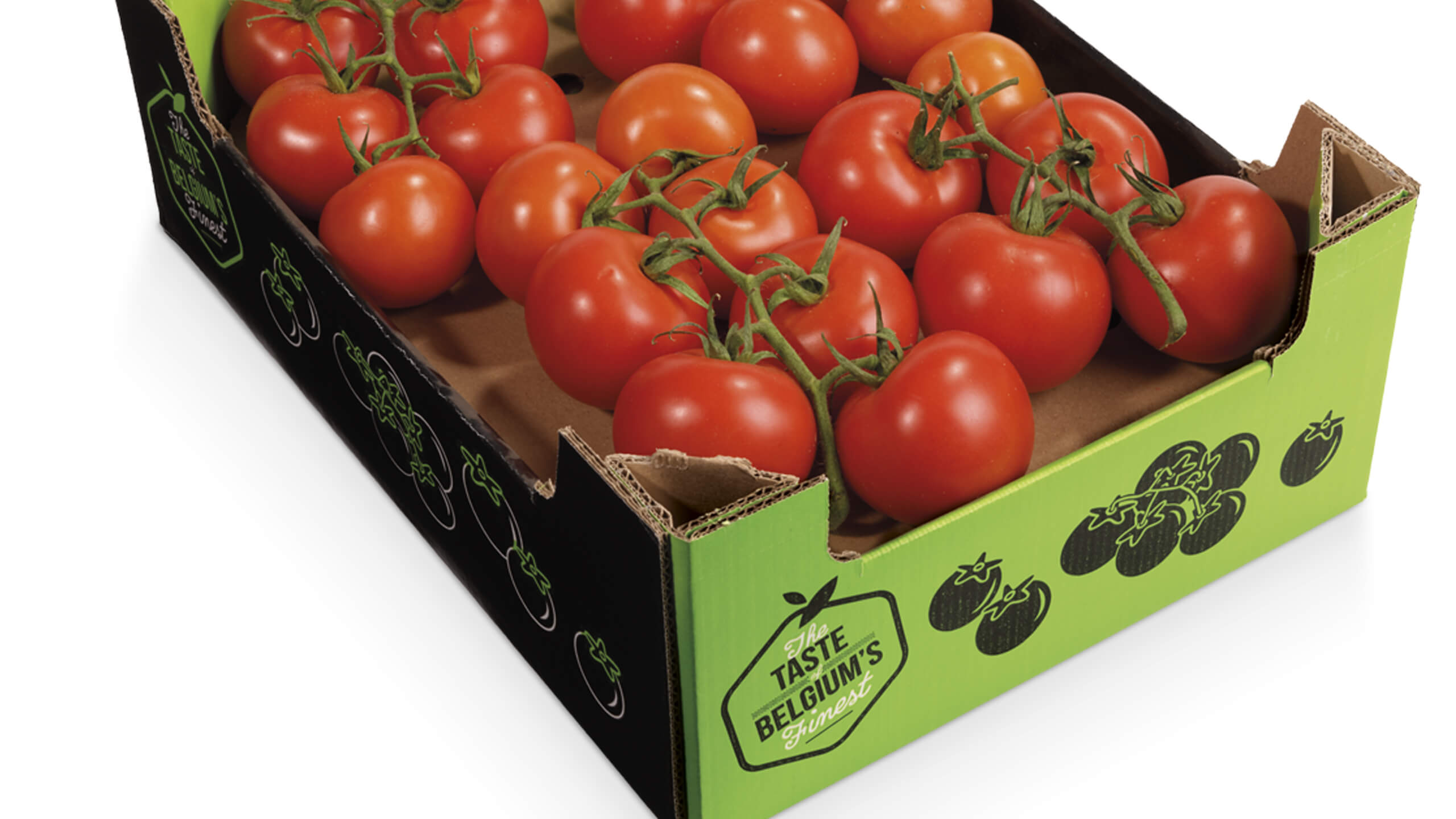kartonverpakking tomaten